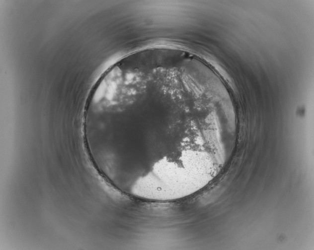 X0000091530853200709141434