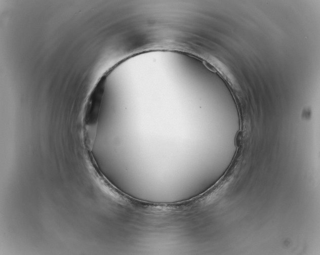 X0000091530854200709141434