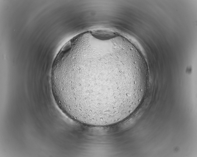 X0000091530855200709141434