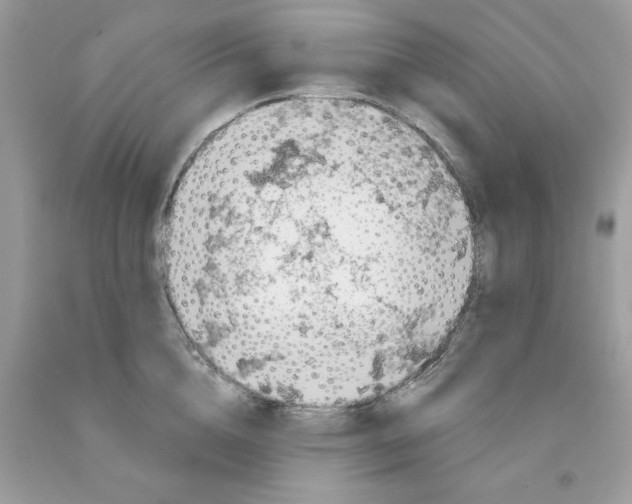 X0000091530856200709141434