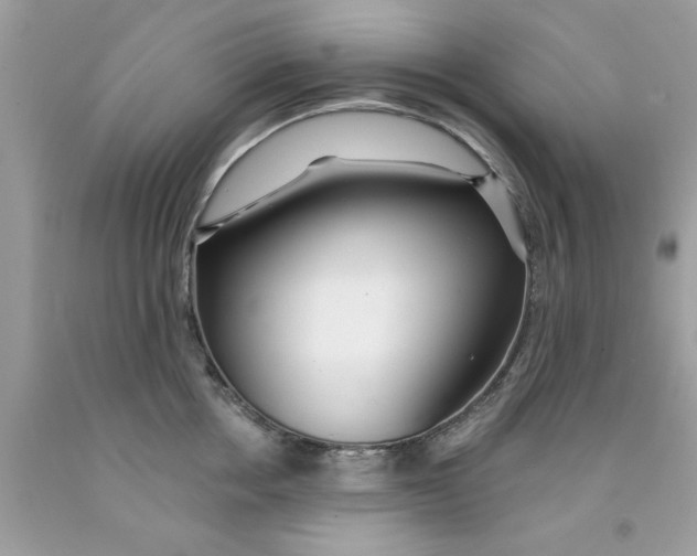 X0000091530858200709141434