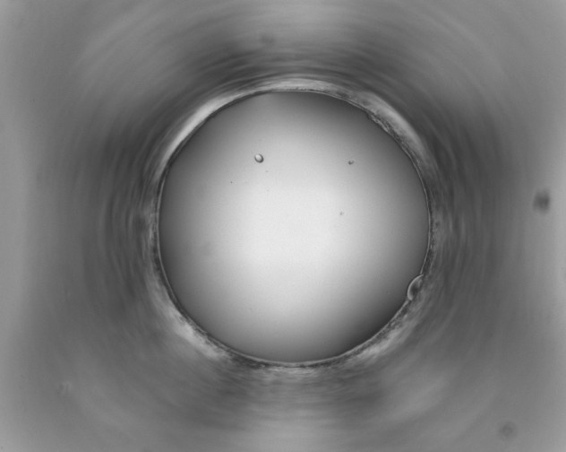 X0000091530860200709141434