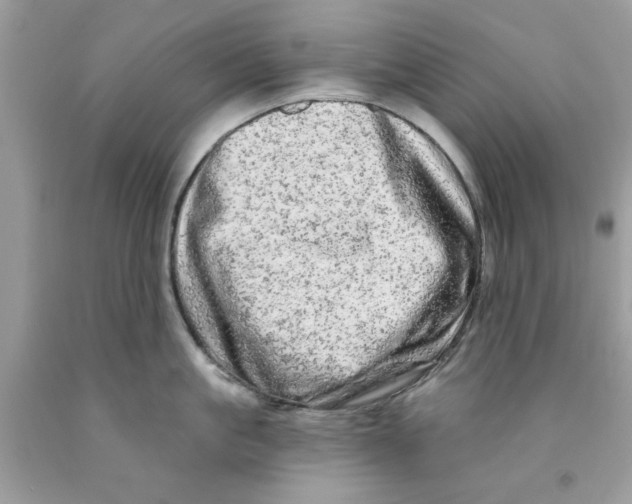 X0000091530861200709141434
