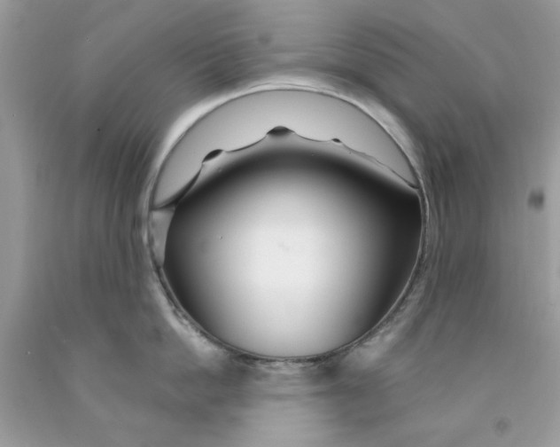 X0000091530862200709141434