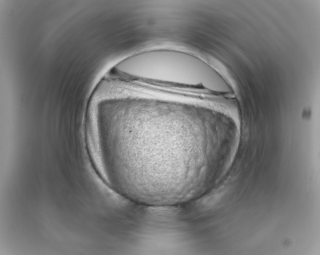 X0000091530863200709141434