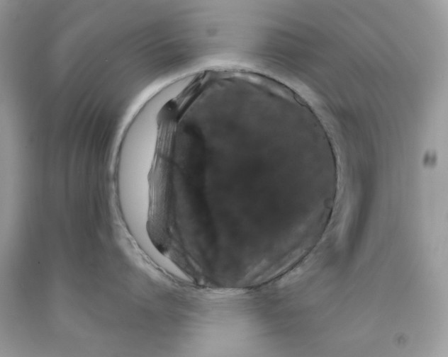 X0000091530864200709141434