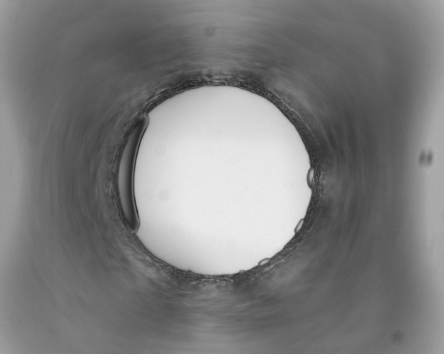 X0000091530865200709141433