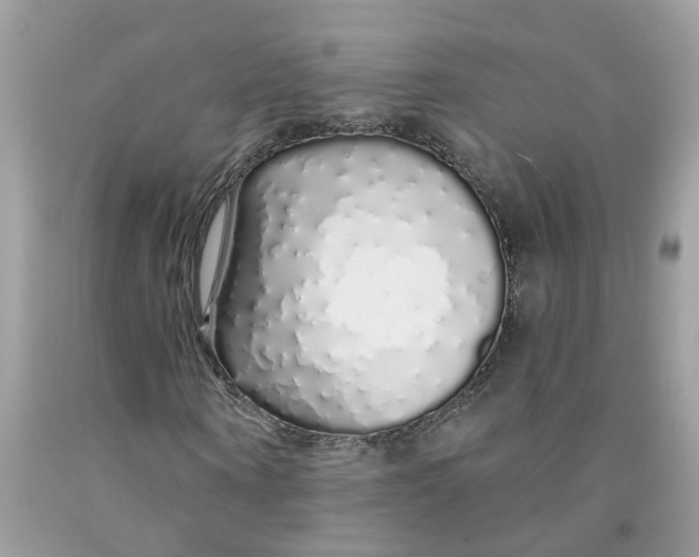X0000091530866200709141433