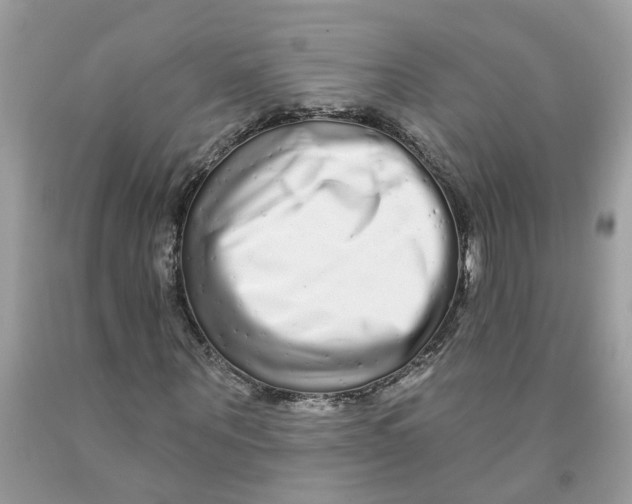X0000091530867200709141433