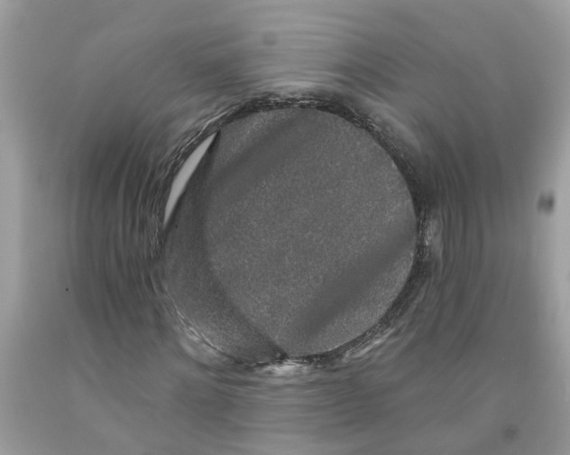 X0000091530868200709141433