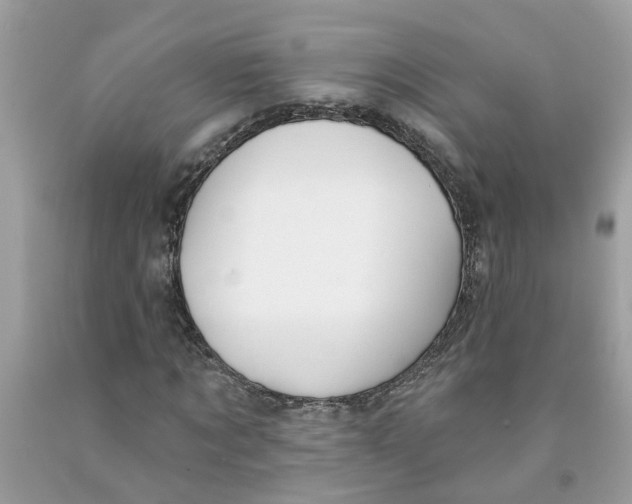 X0000091530869200709141433