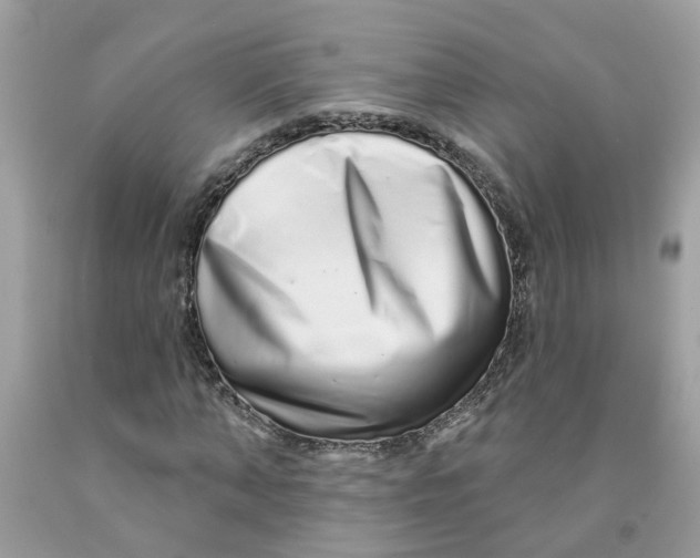 X0000091530870200709141433
