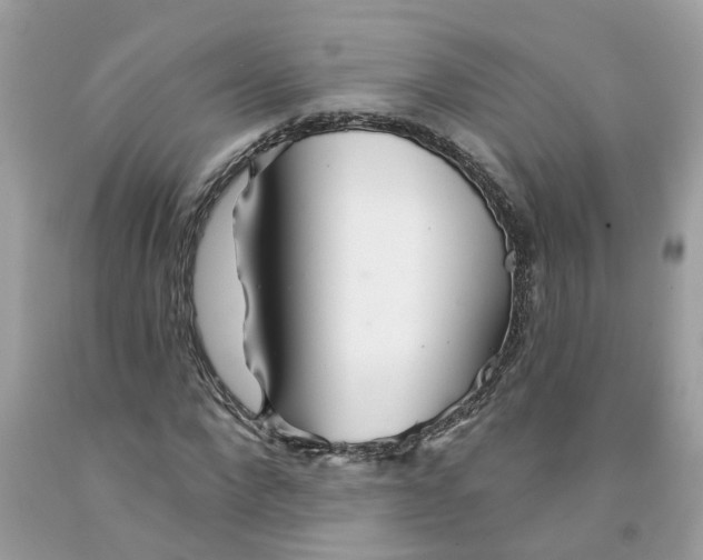 X0000091530872200709141433