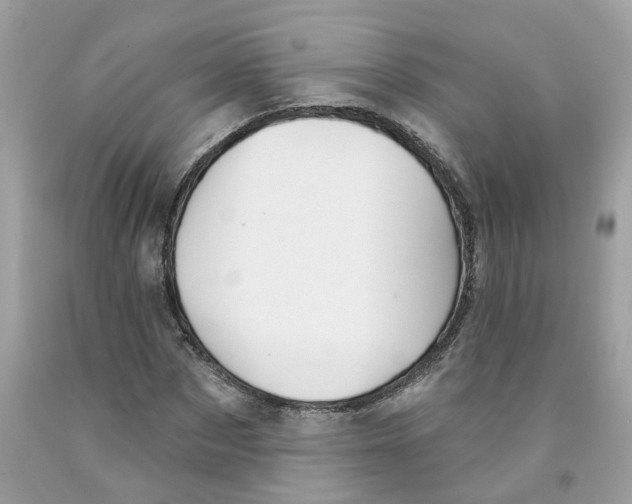 X0000091530873200709141433
