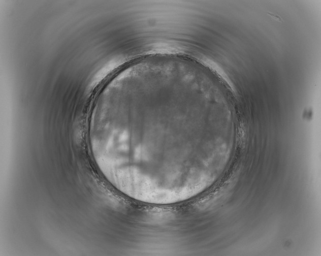 X0000091530874200709141433