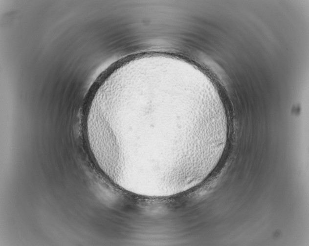 X0000091530875200709141433