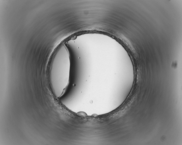 X0000091530876200709141433