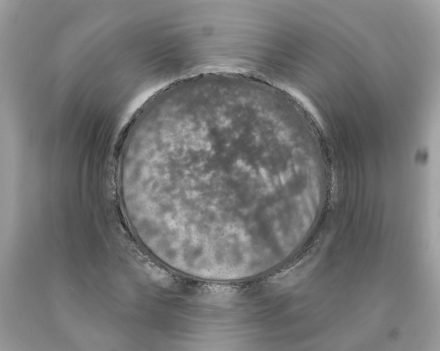 X0000091530878200709141433