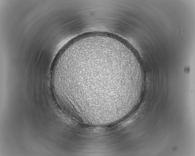 X0000091530879200709141433