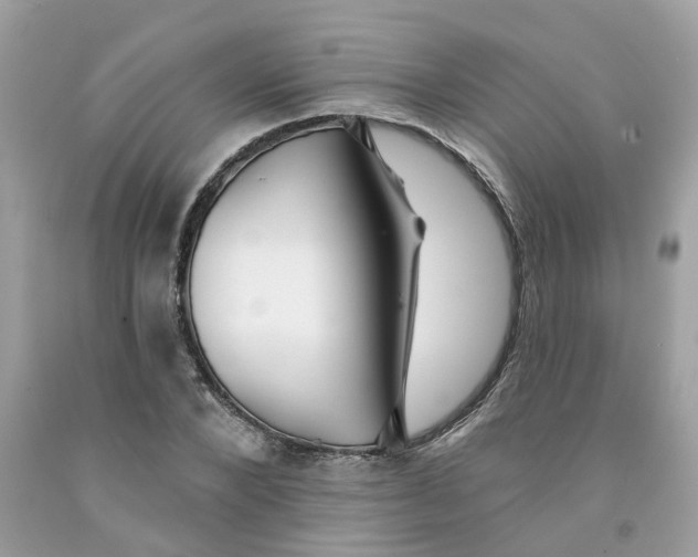 X0000091530880200709141433