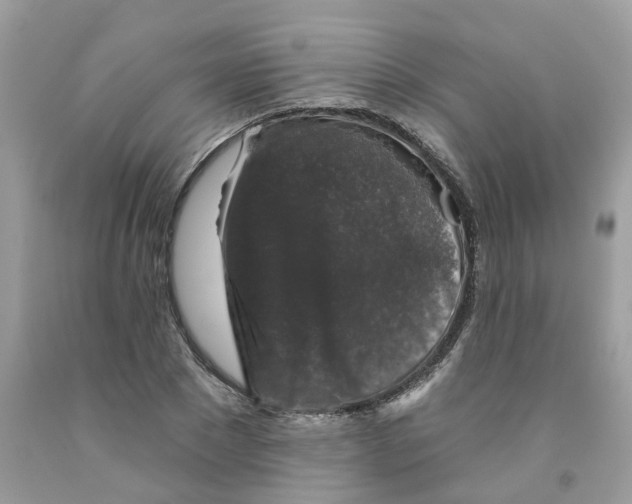 X0000091530881200709141433