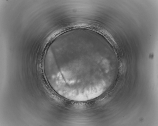 X0000091530882200709141433
