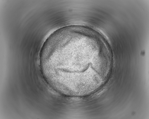 X0000091530883200709141433