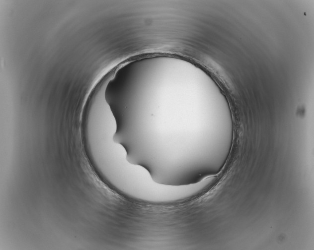 X0000091530884200709141433