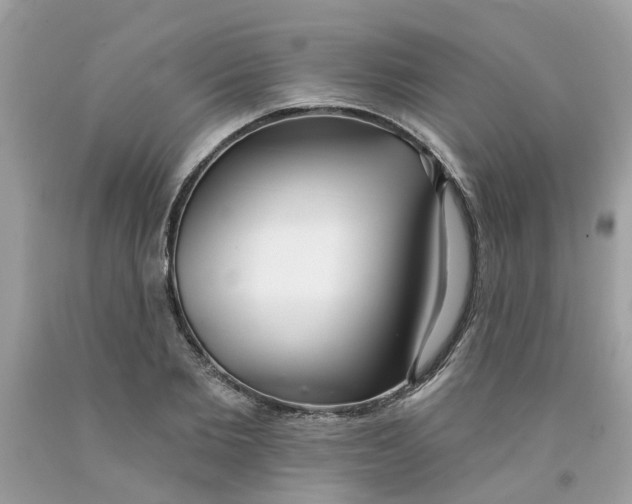 X0000091530885200709141433