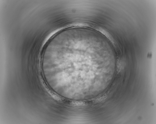 X0000091530886200709141433