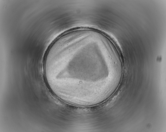 X0000091530887200709141433