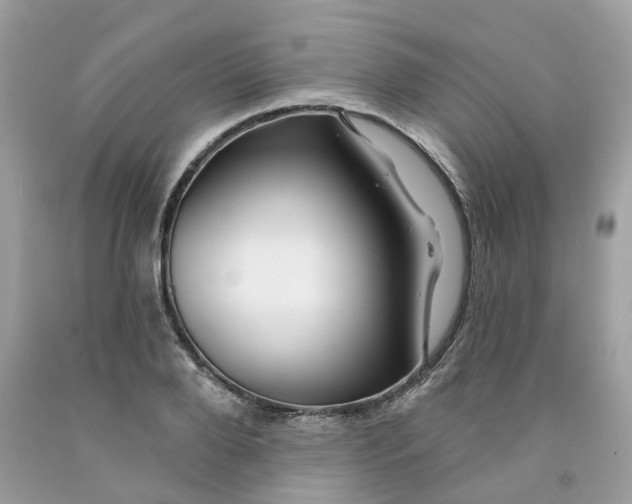 X0000091530888200709141433