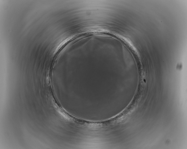 X0000091530889200709141433