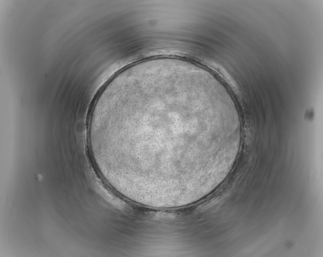 X0000091530890200709141433