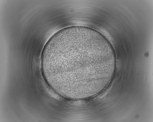 X0000091530891200709141433