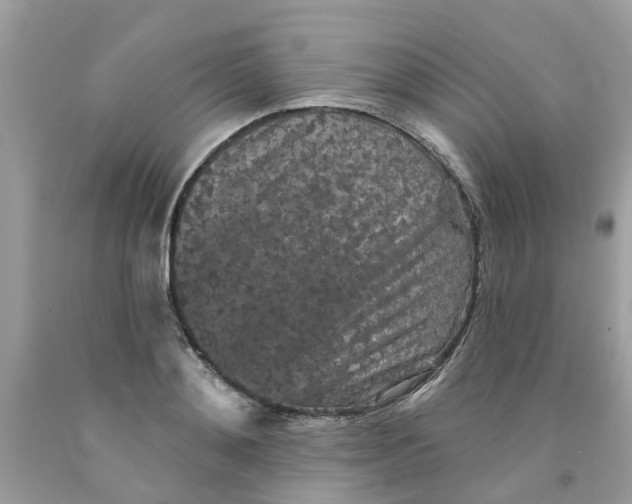 X0000091530892200709141433