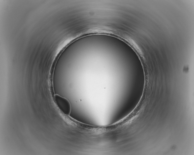 X0000091530893200709141433