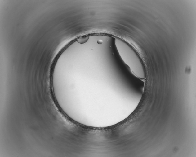 X0000091530894200709141433