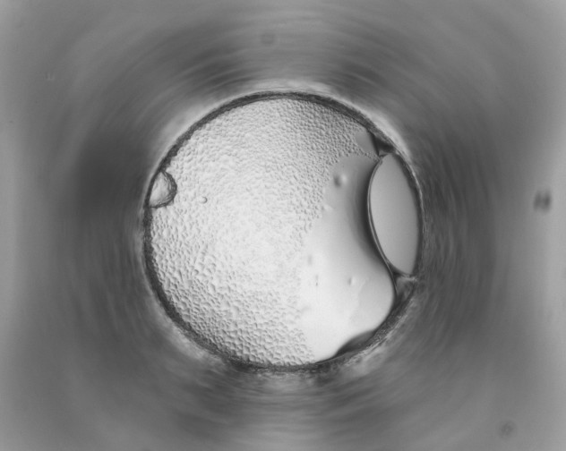 X0000091530895200709141433