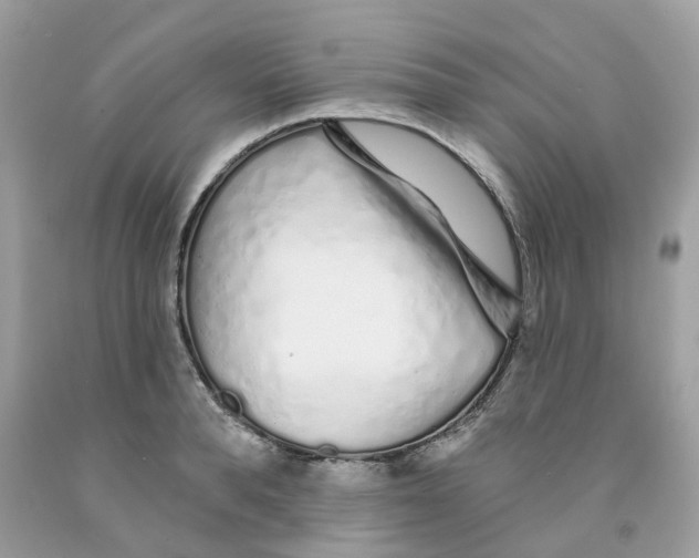 X0000091530896200709141433