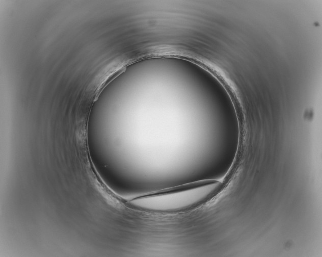 X0000091530897200709141433