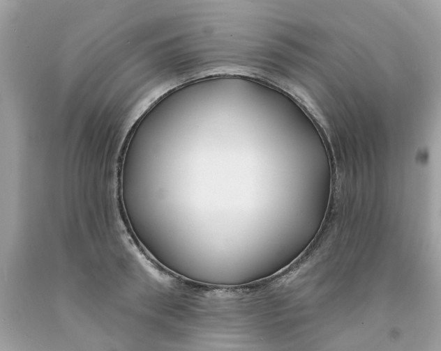 X0000091530898200709141433