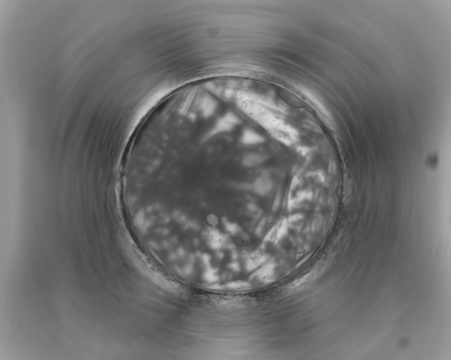 X0000091530899200709141433