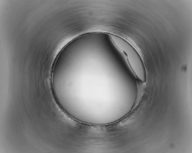 X0000091530901200709141433