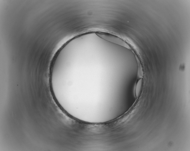 X0000091530902200709141433