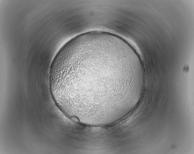 X0000091530903200709141433