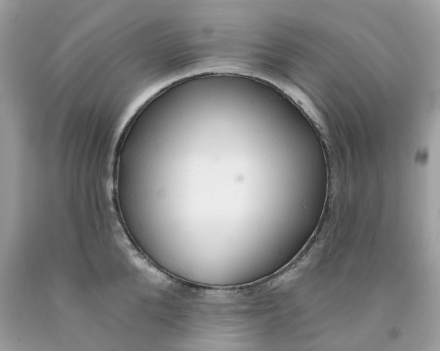 X0000091530904200709141433