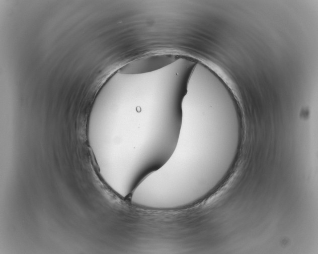 X0000091530905200709141433