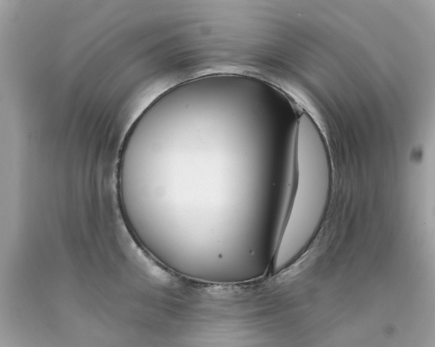 X0000091530906200709141433
