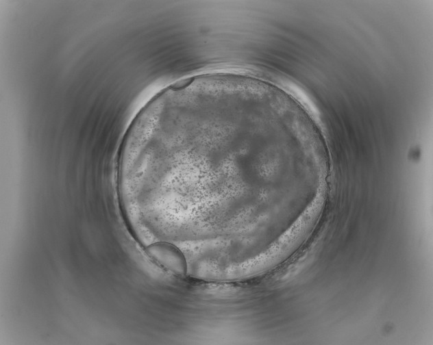 X0000091530907200709141433